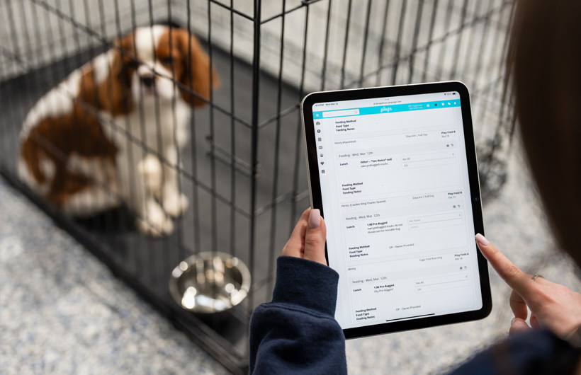 有了 iPad，寵物照護員可以使用 Gingr 這款寵物業務管理 app，即時更新寵物狀況，例如食物和藥物攝取量。