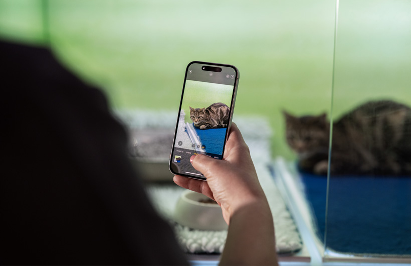 El personal de enfermería usa el iPhone para enviar fotos de las mascotas, lo que da a los clientes un mundo de tranquilidad.