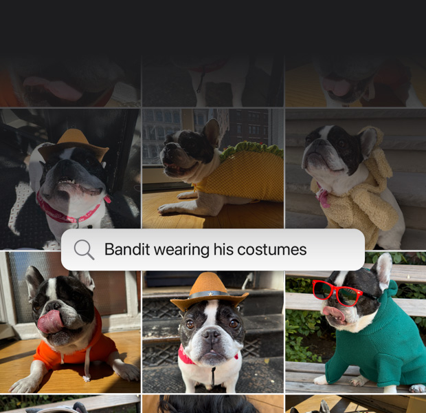 Demostración de la búsqueda con lenguaje natural en Fotos. Búsqueda en la app Fotos con resultados a partir de una frase en la que se solicitan fotos de un perro llamado Bandit usando disfraces.