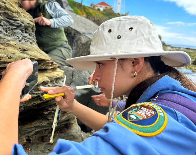 Una participante del EcoLogik Institute trabaja en el Monumento Nacional Cabrillo.