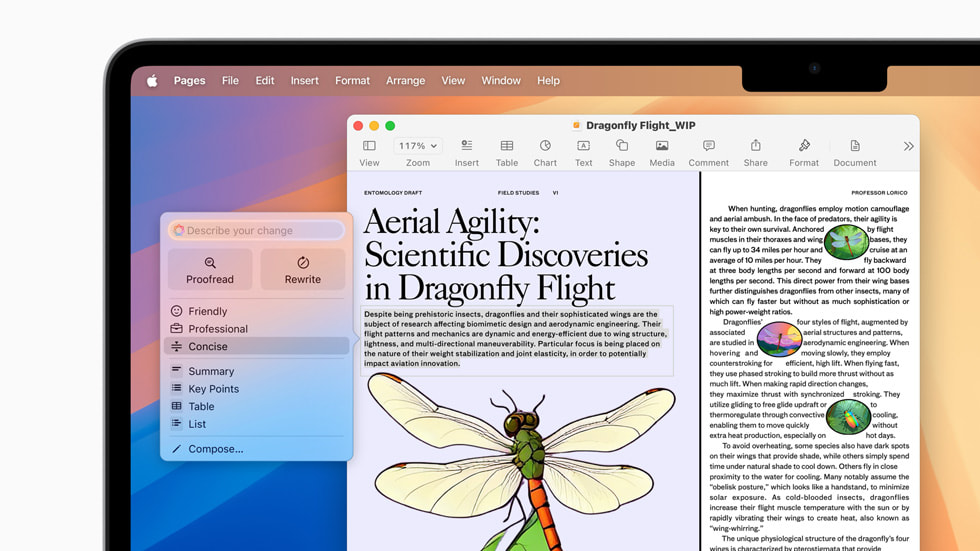MacBook Air의 글쓰기 도구 화면에 강조 표시된 텍스트와 목록의 ‘간결하게’ 옵션이 선택된 모습.