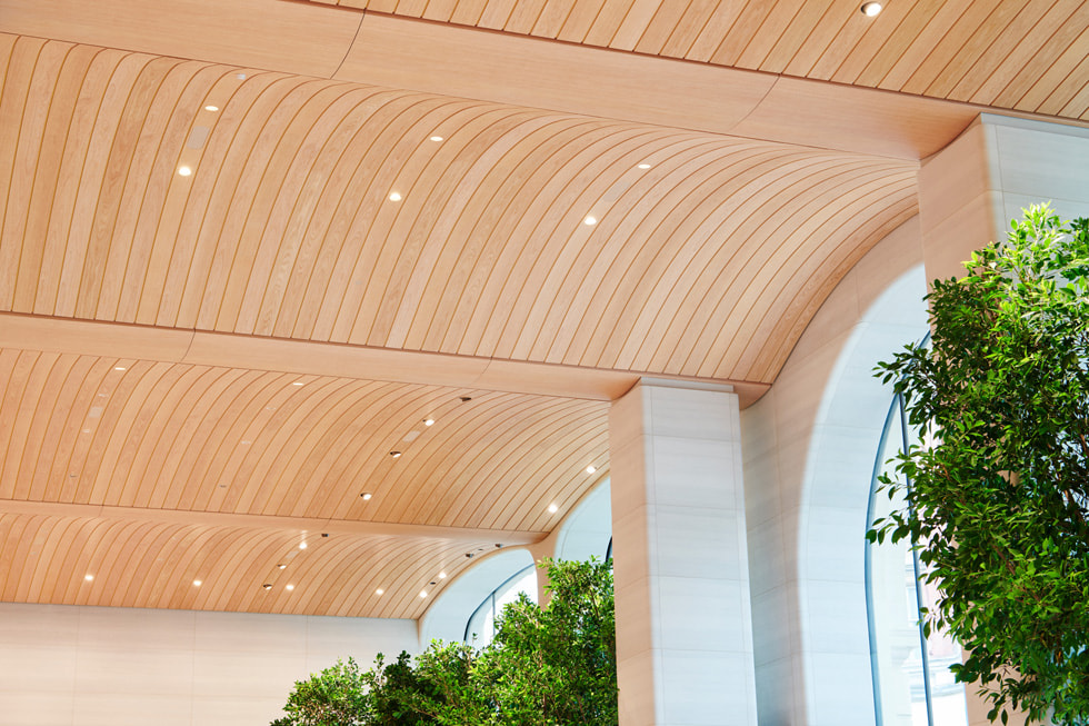 Photo du plafond en bois incurvé à l'intérieur de l'Apple Brompton Road à Londres.