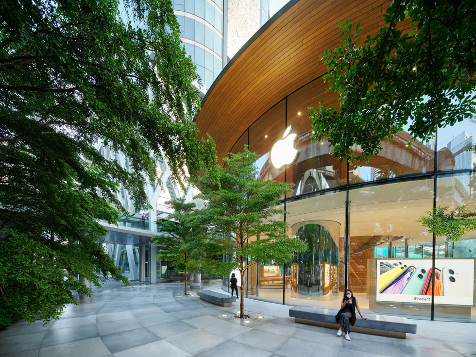 Tropiske træer på det udendørs torv ved Apple Central World. 