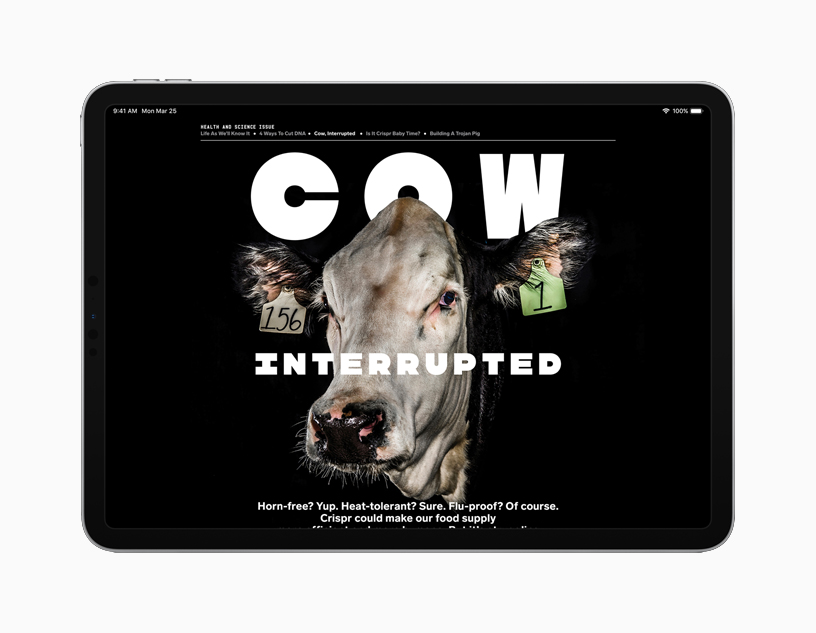 iPad affichant un article intitulé Cow Interrupted.