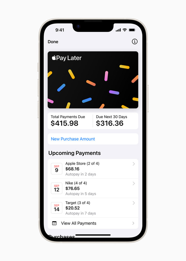 La interfaz de Apple Pay Later en un iPhone 14.