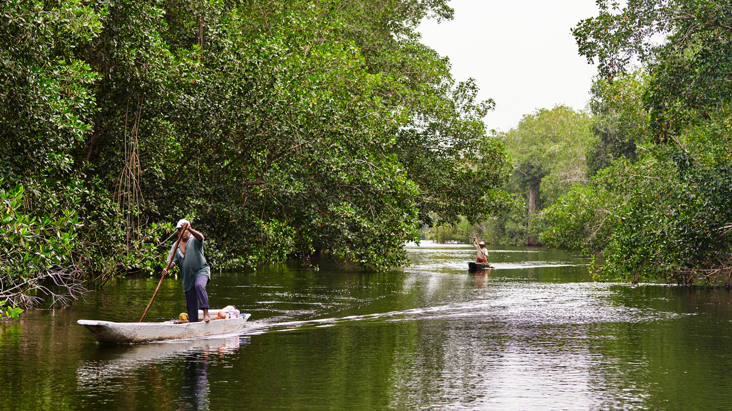 Zwei Menschen steuern ihre Boote in einem Mangrovenwald in Kolumbien.