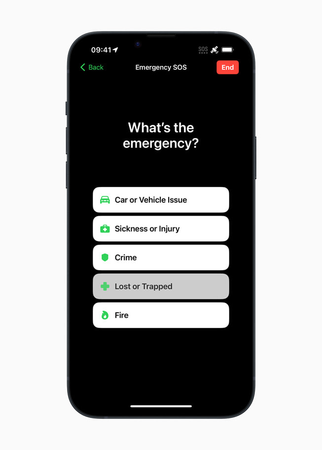 The questionnaire asks users “What’s the emergency?”